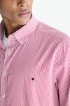 Candy stripe poplin shirt