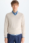 Cotton V-neck sweater