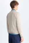 Cotton V-neck sweater