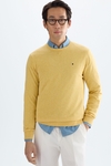 Cotton crew-neck sweater