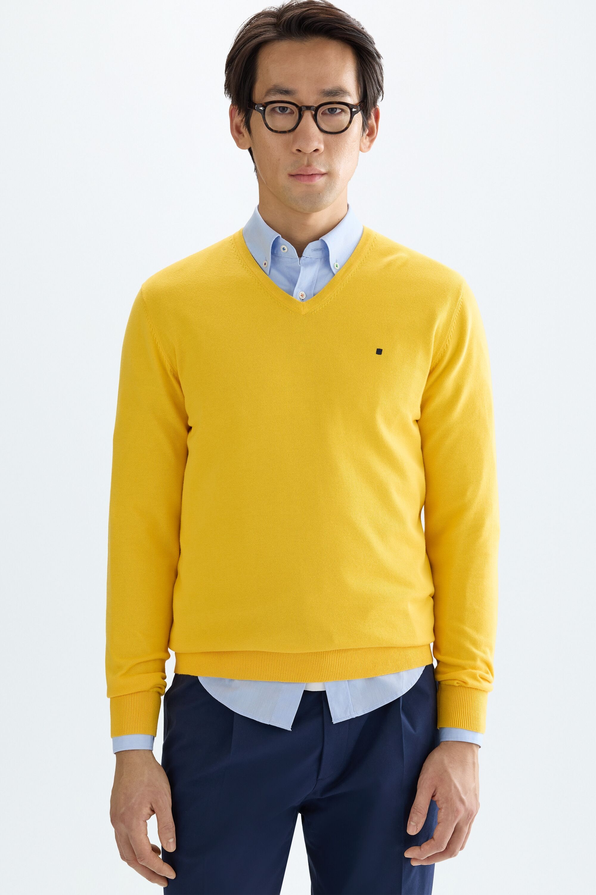 Pima cotton V-neck sweater