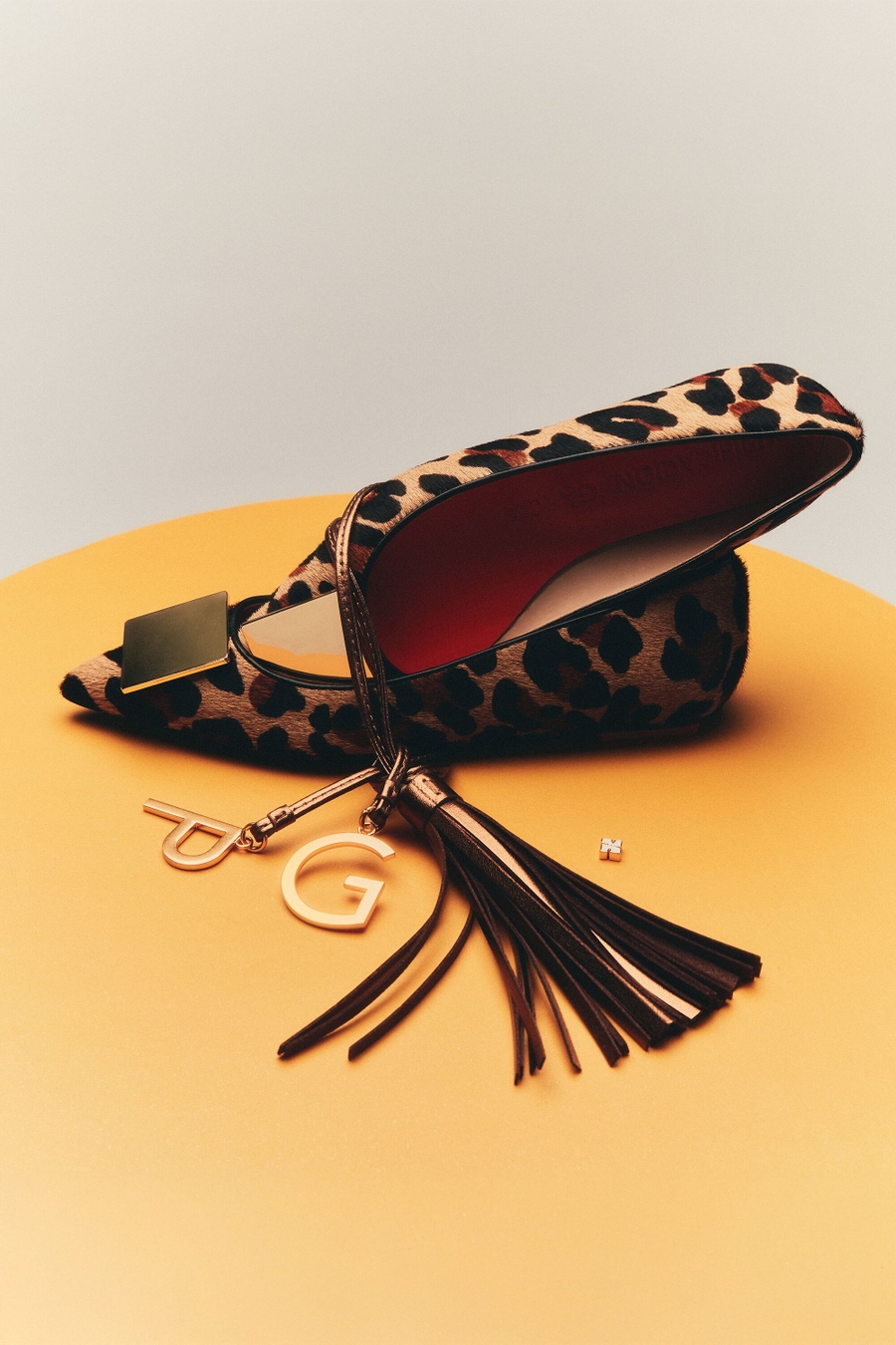 ZAPATO PLANO PELO CUBO