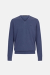 Cotton V-neck sweater
