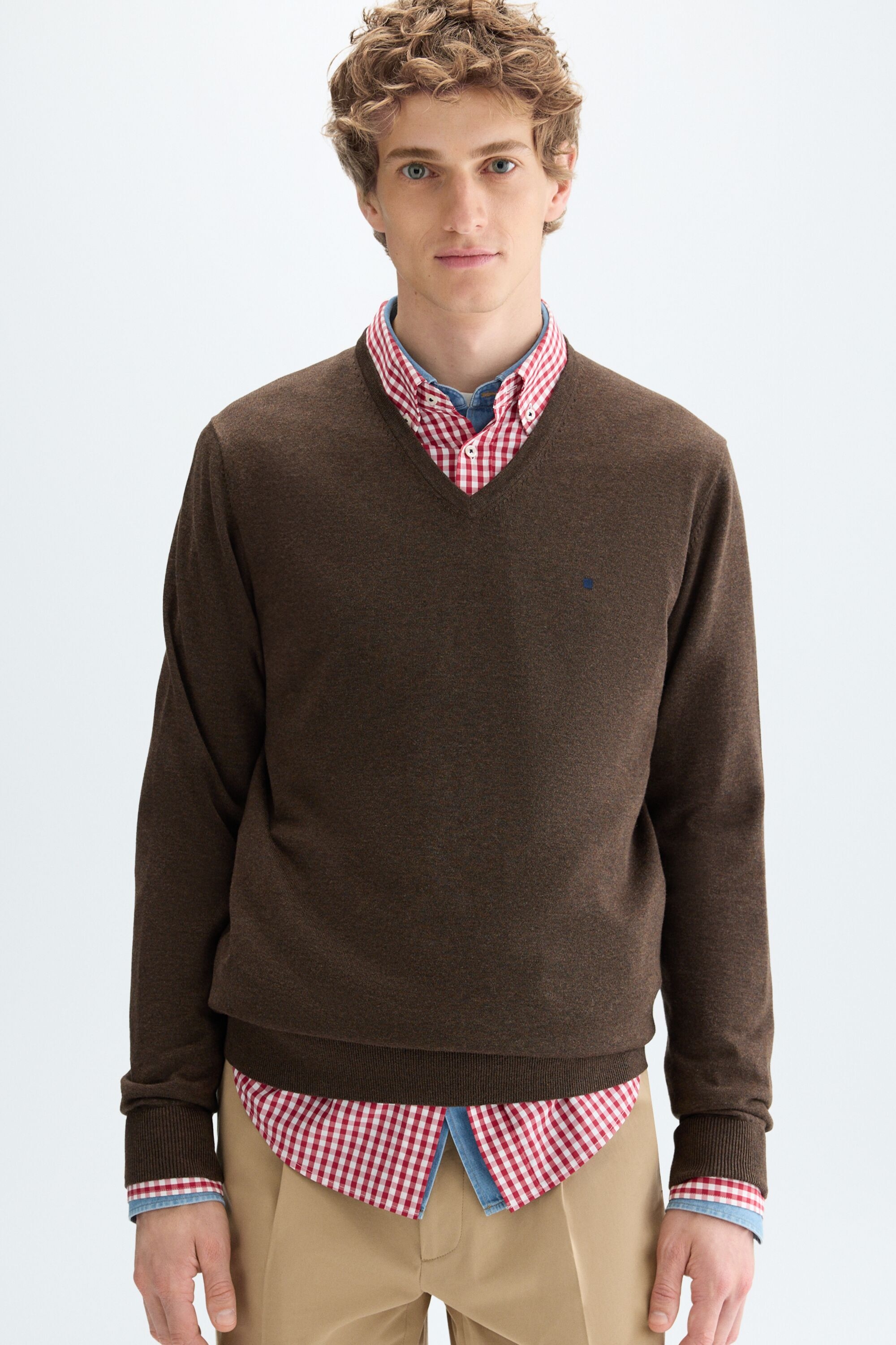 Cotton V-neck sweater