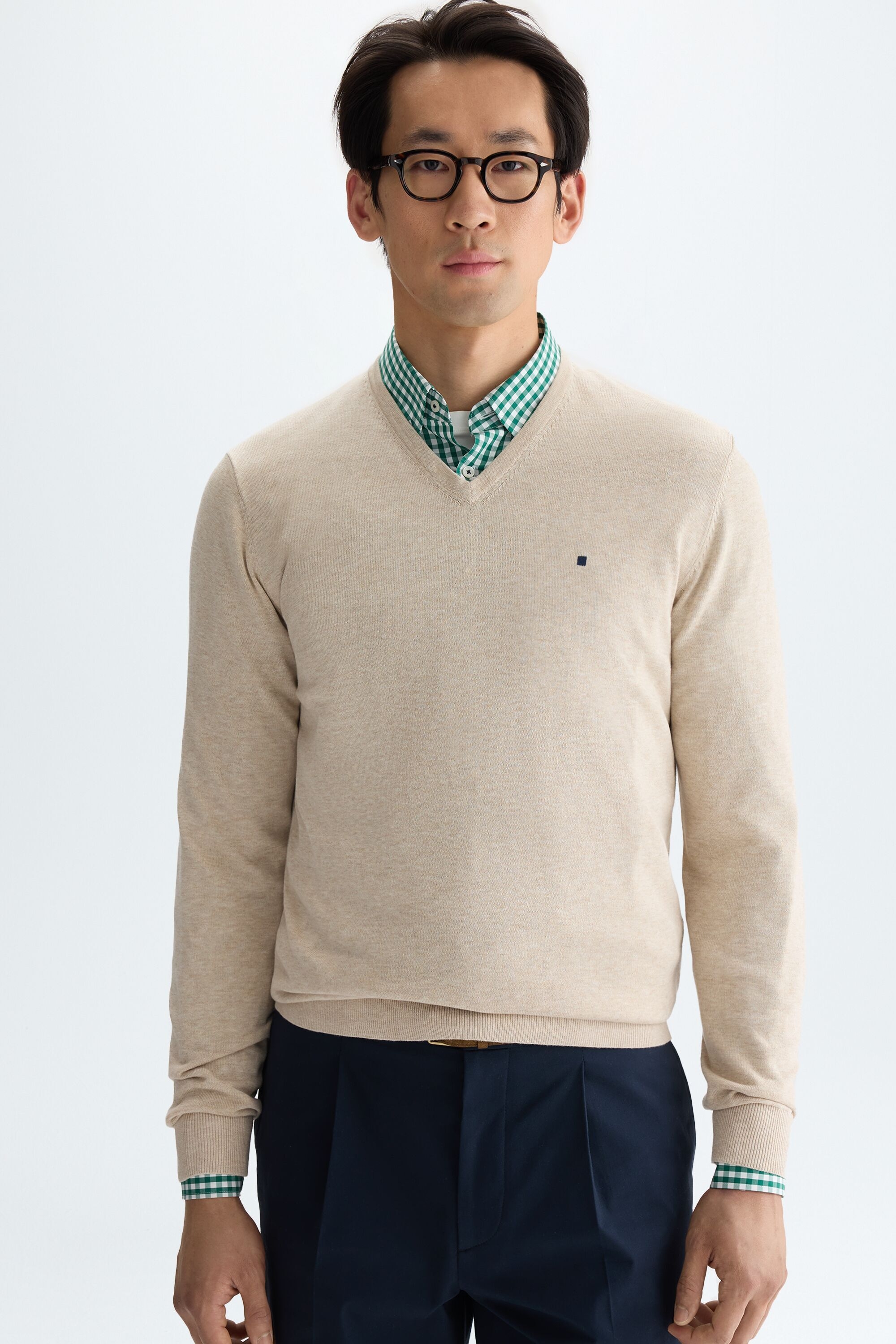 Cotton V-neck sweater
