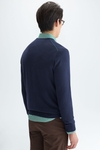 Pima cotton V-neck sweater