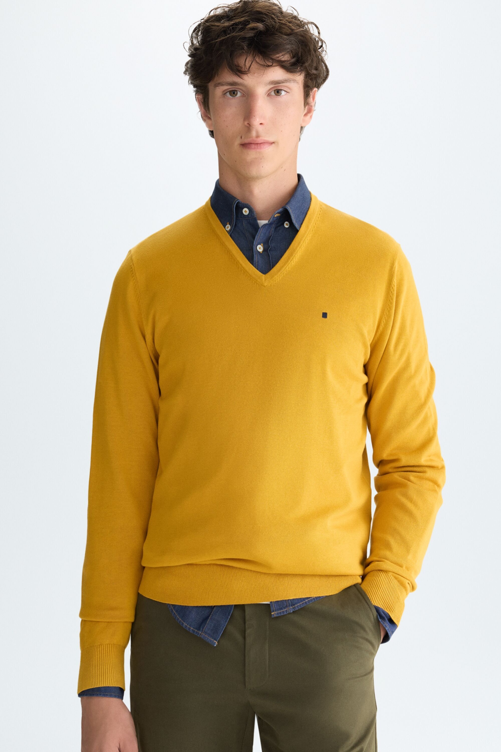 Pima cotton V-neck sweater