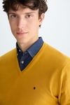 Pima cotton V-neck sweater