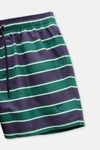 PG striped swim shorts