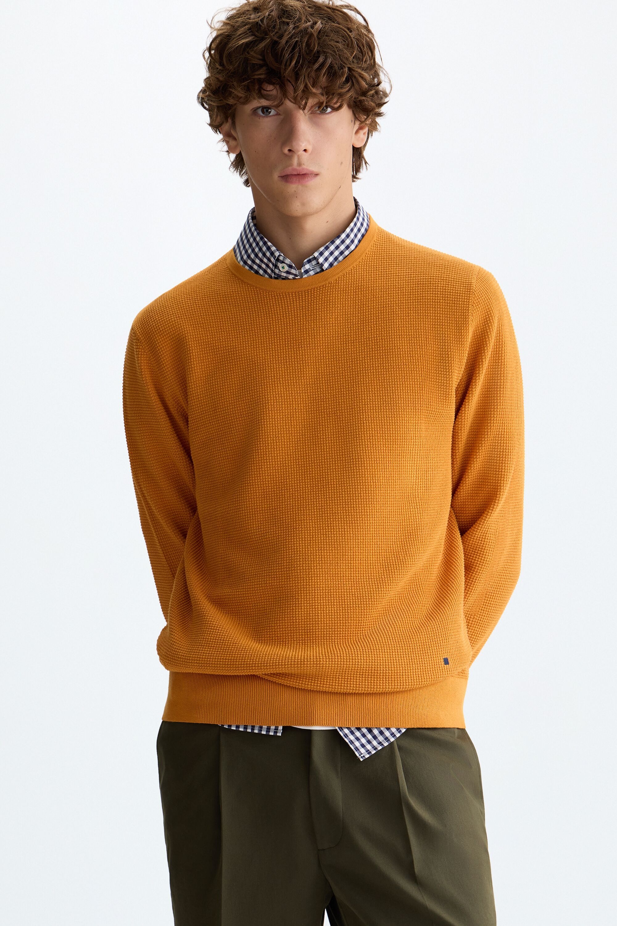 Textured pima cotton sweater