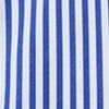 BLUE/WHITE