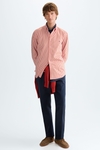 Candy stripe poplin shirt