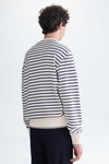 Jacquard stripe sweatshirt