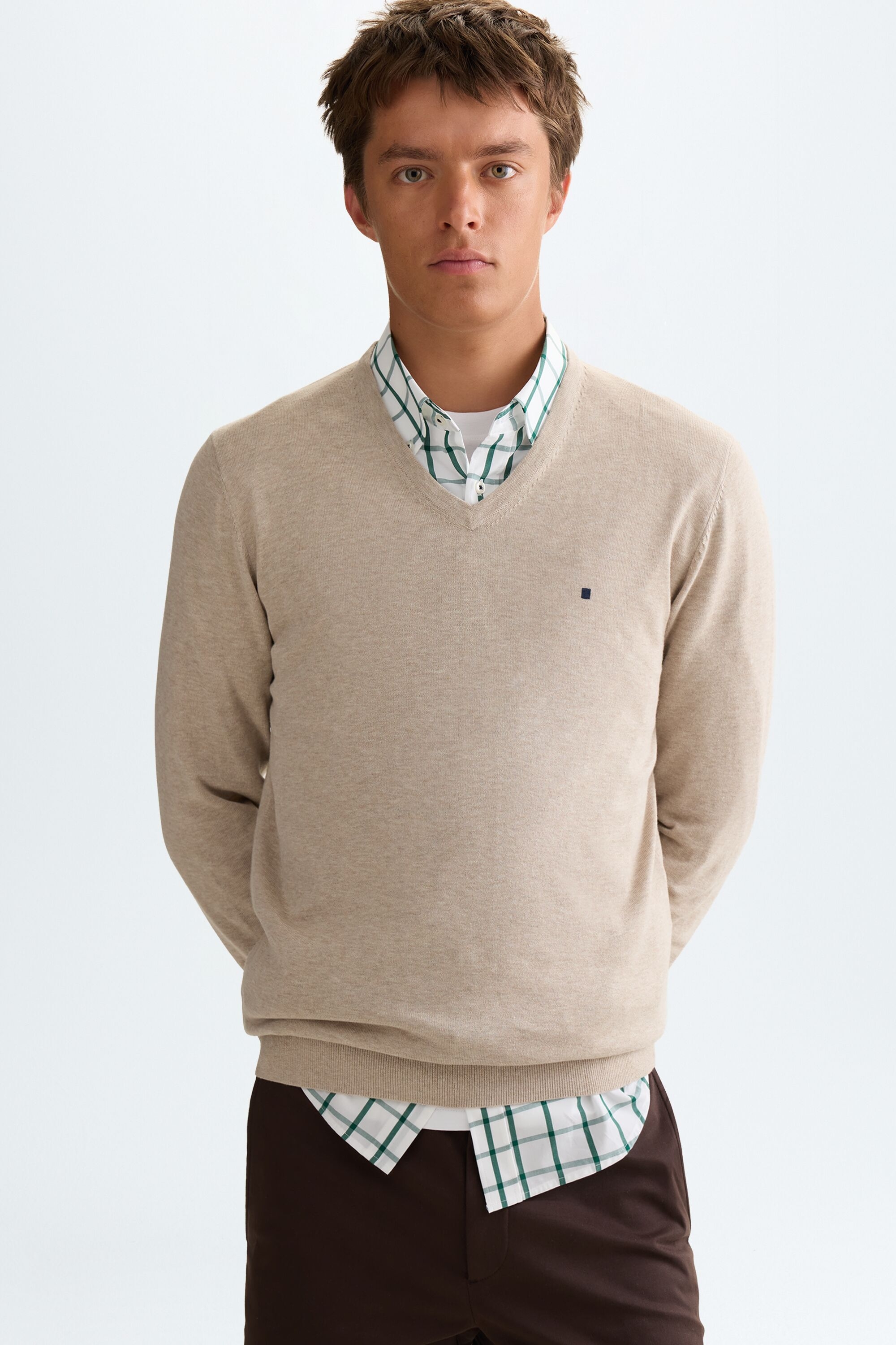 Cotton V-neck sweater