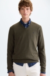 Cotton V-neck sweater