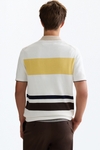 Striped textured knit polo shirt
