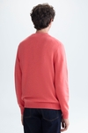 Wool crew-neck sweater