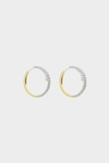 RADIANT HOOP EARRINGS