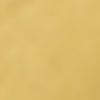 GOLD/WHITE