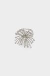 Fireworks ring