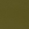 LIGHT KHAKI GREEN
