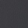 ANTHRACITE GRAY