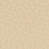 BEIGE/CAMEL/TAUPE
