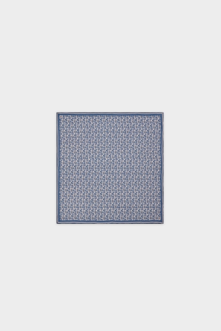 CATASTRIPES POCKET SQUARE