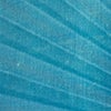 BLUE/BLACK